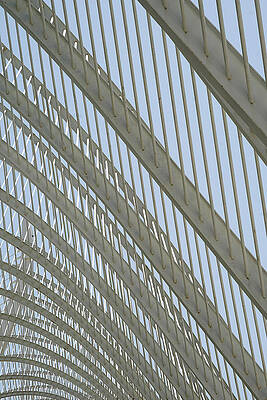Spain Photograph - Valencia - The Umbracle Study 1 by Richard Reeve