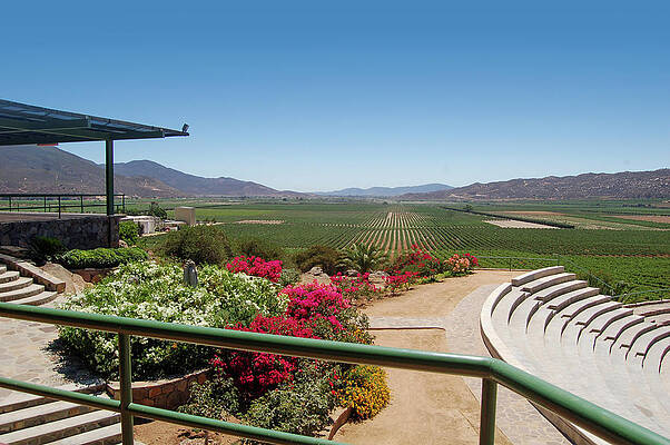 Mexico Photograph - Valle Vista by William Scott Koenig