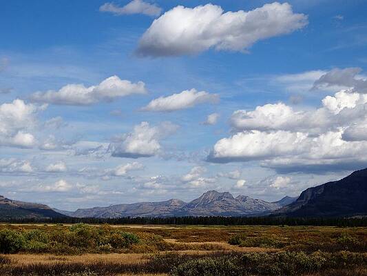 Landscape Photograph - Valley At Hawk's Rest by Alden White Ballard