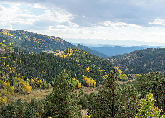 Wall Art featuring the photograph Valley Of Color by Steve Templeton