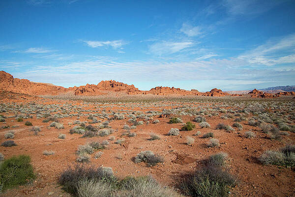 Photograph - Valley Of Fire - Vista #216 by Jonathan Babon