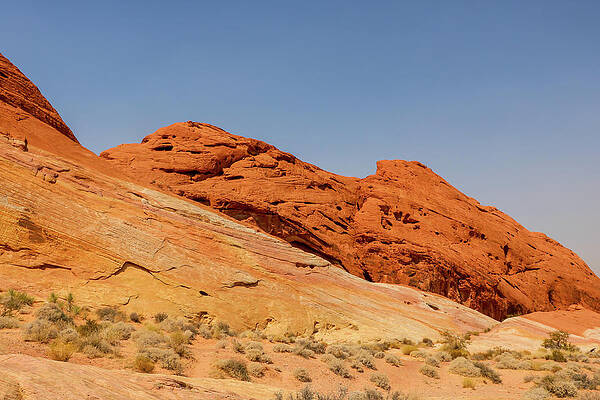 Desert Wall Art featuring the photograph Valley Of Fire View 4 by Dawn Richards