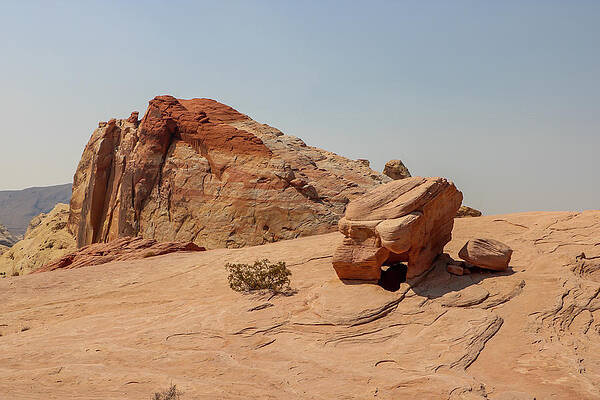 Desert Wall Art featuring the photograph Valley Of Fire View by Dawn Richards
