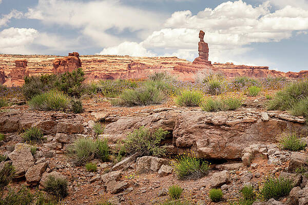 Rock Wall Art featuring the photograph Valley Of The Gods by Craig A Walker