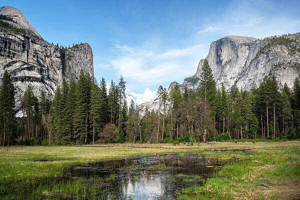 California Wall Art featuring the photograph Valley View Of Half Dome by Diane Moller