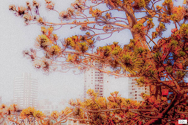 Wall Art featuring the photograph Van- Arts Sake by Alex John Bergerman