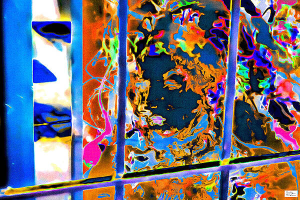 Wall Art featuring the photograph Van- Lady Liberty by Alex John Bergerman