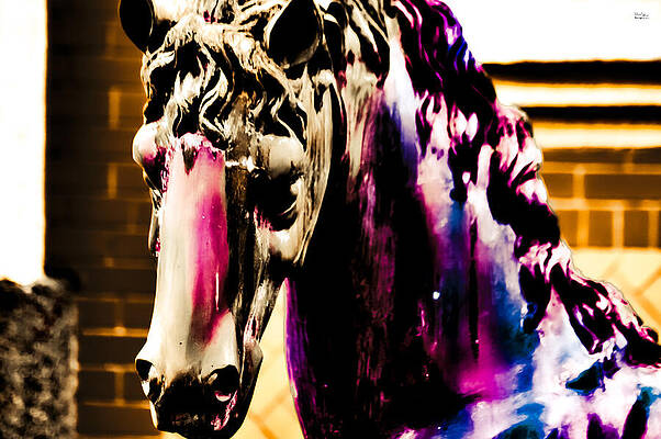 Wall Art featuring the photograph Van2- Colour Fifty Horse by Alex John Bergerman