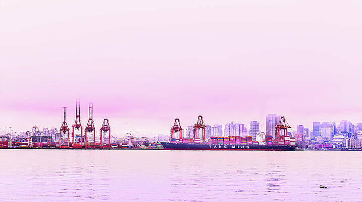 Yang Ming Cargo Ship at Port Photograph