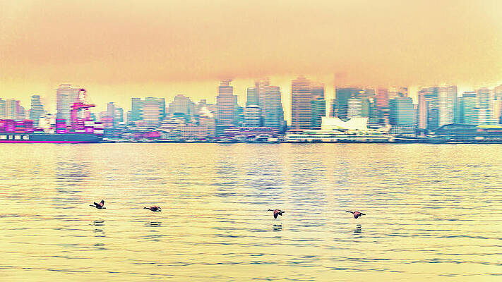 Birds Flying Over Cityscape Photograph