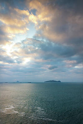 Wall Art featuring the photograph Vanilla And Turquoise Giant by Mark Callanan