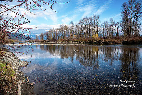Spring Photograph - Vedder River Mirror In Spring by Tom Cochran