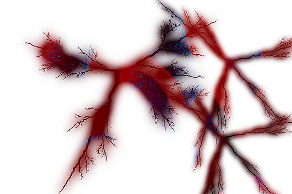 Wall Art featuring the photograph Veins by Gary Wightman