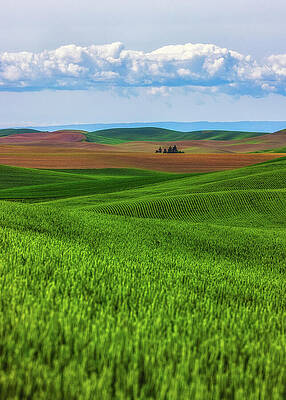 Rolling Hills Under a Vast Sky Wall Art