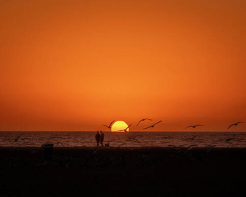 Photograph - Venice Sunset 2 by Bruce Feagle