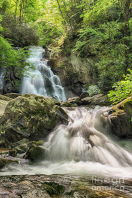 Landscape Wall Art featuring the photograph Spring At Spruce Flat Falls In The Great Smoky Mtns National  Park by Jimmy Pappas