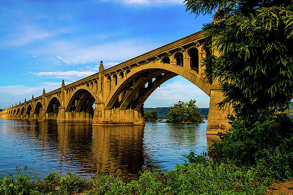 Vibrant Photograph - Veteran's Memorial Bridge At Columbia River Park by Anthony Hightower