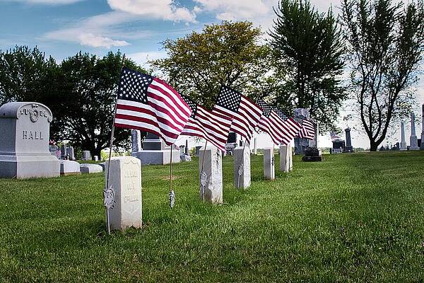 Sky Wall Art featuring the photograph Veterans Of Elmwood Cemetery by American Landscapes