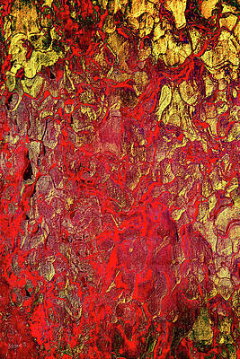 Vibrant Abstract Color Dynamics Wall Art
