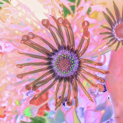 Vibrant Abstract Flower Close-up Wall Art