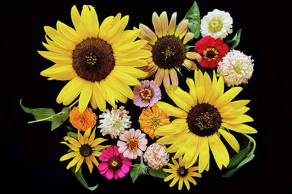 Wall Art featuring the photograph Vibrant Array Of Sunflowers And Blooms by Mary Jo Allen