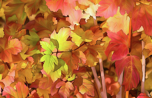Vibrant Autumn Leaves Wall Art