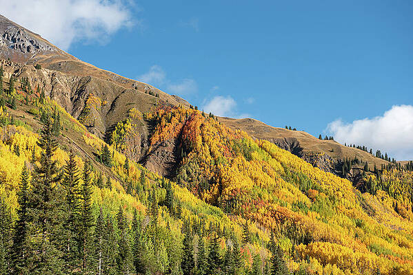 Vibrant Autumn Mountain Landscape Photograph