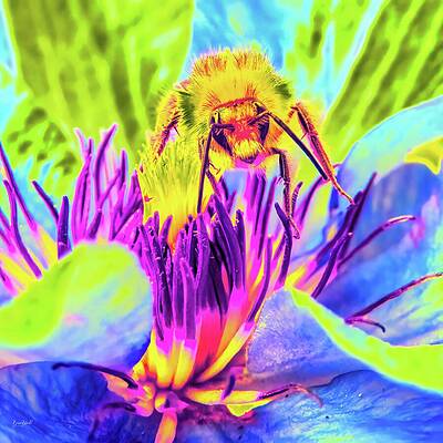 Vibrant Bee Gathering Nectar by Bruce Block