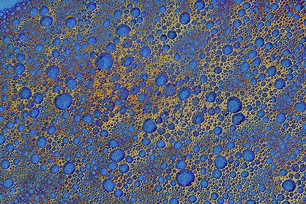Vibrant Blue and Gold Bubbles Wall Art