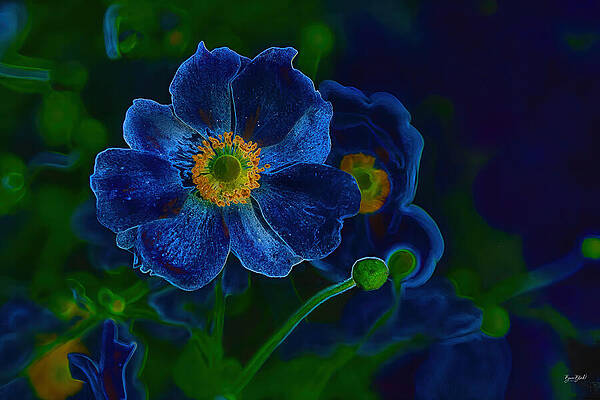 Vibrant Blue Flower Wall Art