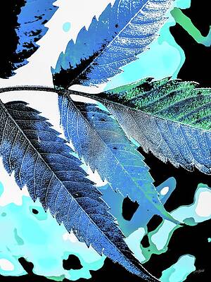 Vibrant Blue Leaves on Abstract Background Photograph