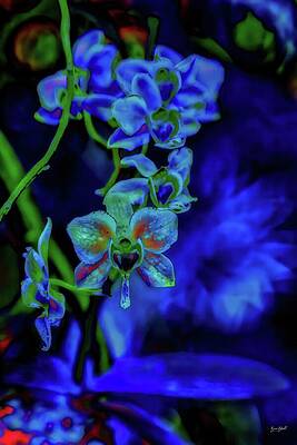 Vibrant Blue Orchids Wall Art