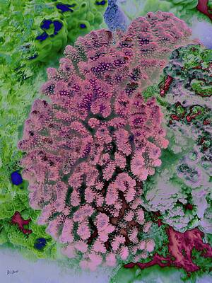 Vibrant Coral Reef Fantasy Wall Art