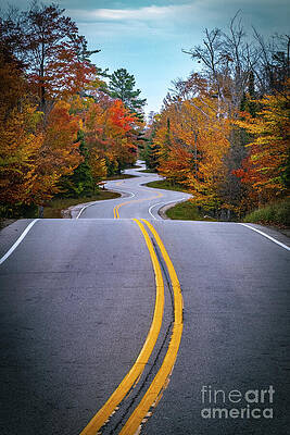 Wall Art featuring the photograph Vibrant Curves Ahead by Duluth To Door County Photography