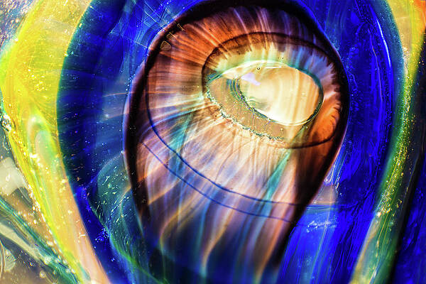 Wall Art featuring the photograph Vibrant Dreams by Omaste Witkowski