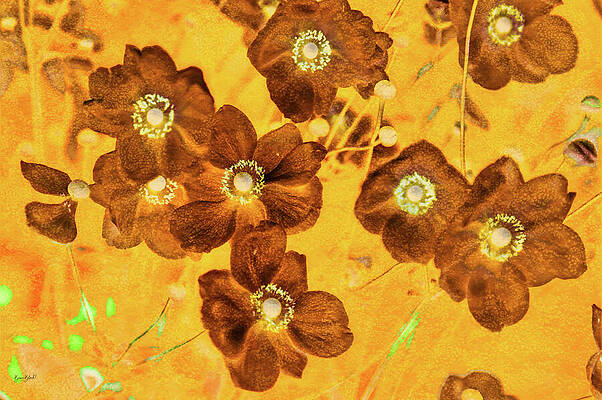 Vibrant Floral Fantasy Wall Art