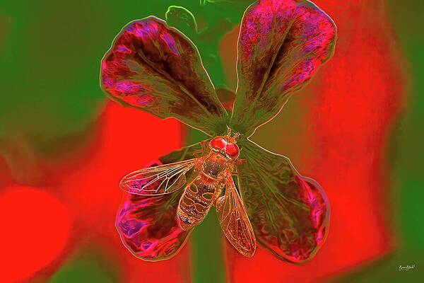 Vibrant Flower and Hoverfly Wall Art