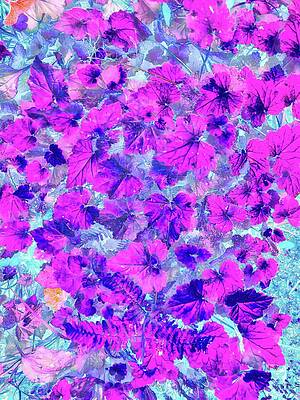 Vibrant Foliage in Pink Hues Wall Art