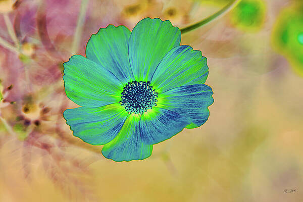 Vibrant Green Flower Against Abstract Background Wall Art