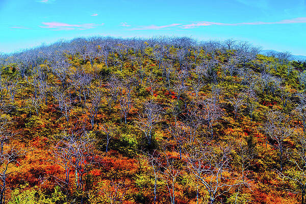 Vibrant Autumn Hillside Digital Art