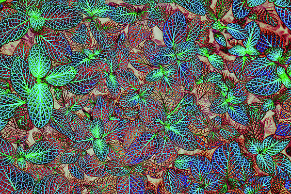 Vibrant Leaf Patterns Digital Art