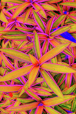 Vibrant Leaves in Bright Colors Digital Art