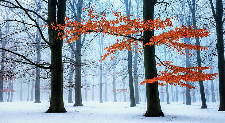 Nature Wall Art featuring the ai art Vibrant Leaves In Misty Forest by The Luxury Art Collection