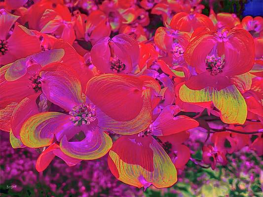 Vibrant Neon Blossoms Wall Art