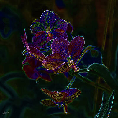 Vibrant Neon Orchids Digital Art