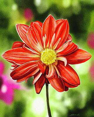 Flower Wall Art for Sale by Rebecca Lee