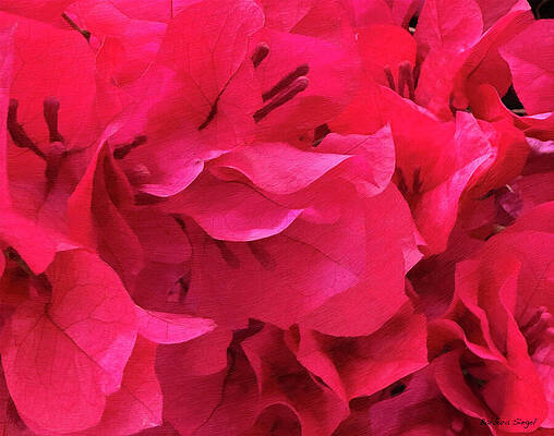 Vibrant Red Floral Pattern Wall Art