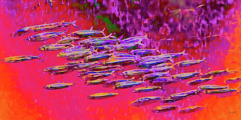 Vibrant School of Fish Digital Art