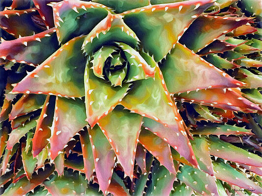 Vibrant Spiral Aloe Wall Art