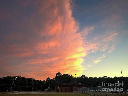 Vibrant Sunset Over Suburban Landscape by Catherine Wilson